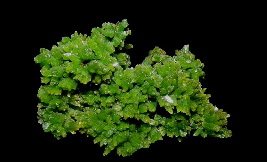 Pyromorphite, Daoping mine, Guangxi, Chine image