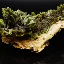 Pyromorphite - image 2