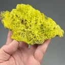 Pyromorphite - image 2