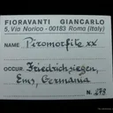 Pyromorphite - image 5