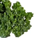Pyromorphite - image 3