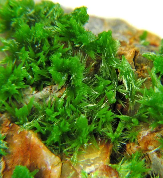 Pyromorphite - image 2