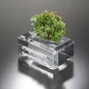 Pyromorphite - image 2