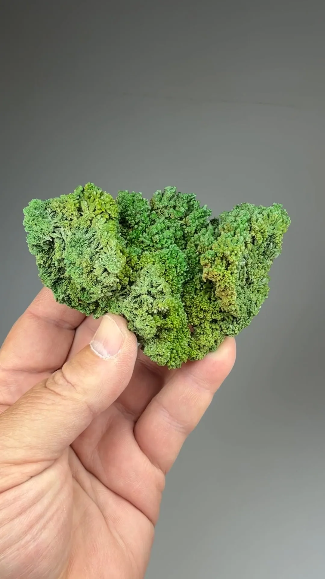 Pyromorphite - image 2