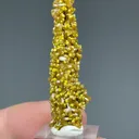 Pyromorphite - image 2