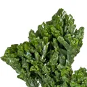 Pyromorphite - image 4