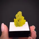 Pyromorphite - image 2