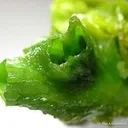 Pyromorphite - image 6