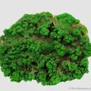 Pyromorphite - image 6