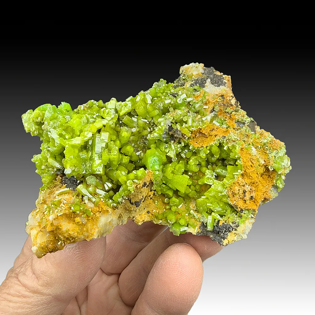 Pyromorphite image