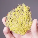 Pyromorphite - image 2