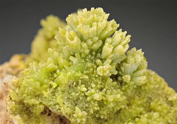 Pyromorphite image