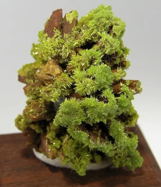 Pyromorphite image