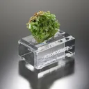 Pyromorphite - image 3