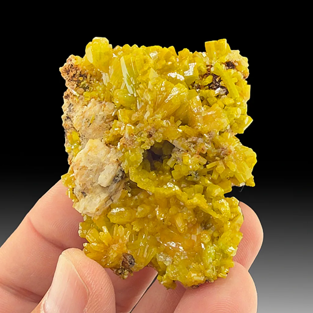 Pyromorphite from 9 level, Bunker Hill Mine, Idaho, USA - image 1