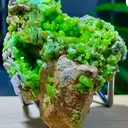 Pyromorphite from China - image 1