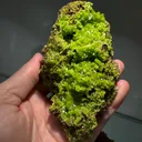 Pyromorphite from China, Guangxi, Guilin, Gongcheng Co., Daoping Mine - image 4