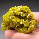 Pyromorphite from Chine, Guangxi, Guilin, Gongcheng Co, Mine Daoping - image 1