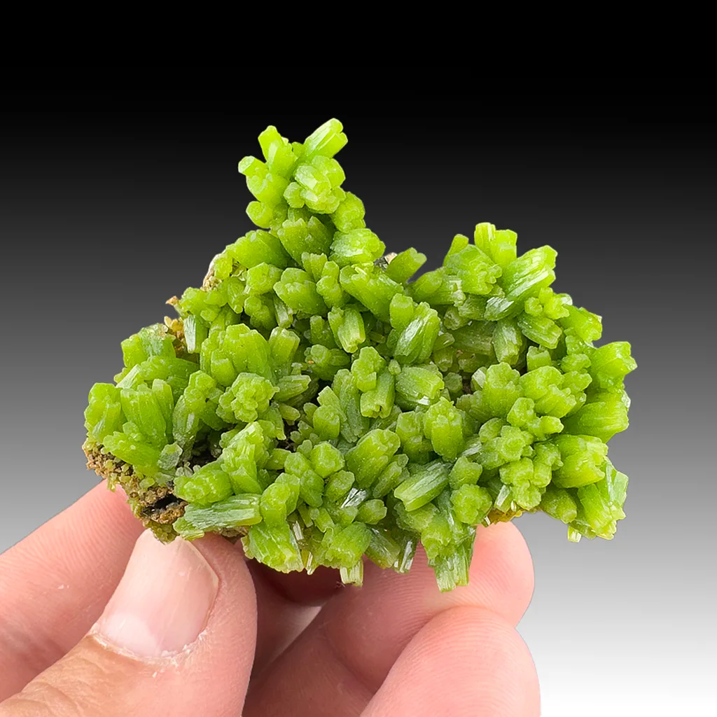 Pyromorphite from Daoping Mine, Gongcheng Co., Guilin, Guangxi, China image
