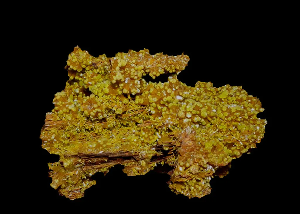 Pyromorphite from France, Nouvelle-Aquitaine, Les Farges Mine