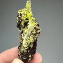 Pyromorphite from Kabwe Mine, Kabwe District, Zambia - image 2