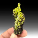 Pyromorphite from Kabwe Mine, Kabwe District, Zambia - image 1
