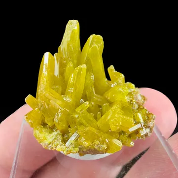 Pyromorphite from Kellogg, Shoshone County, Idaho, USA