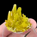 Pyromorphite from Kellogg, Shoshone County, Idaho, USA - image 1