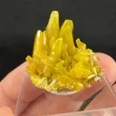 Pyromorphite from Kellogg, Shoshone County, Idaho, USA - image 2
