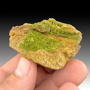 Pyromorphite from Wheatley Mines, Pennsylvania, USA