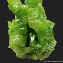 Pyromorphite (large, hoppered crystals) - image 7