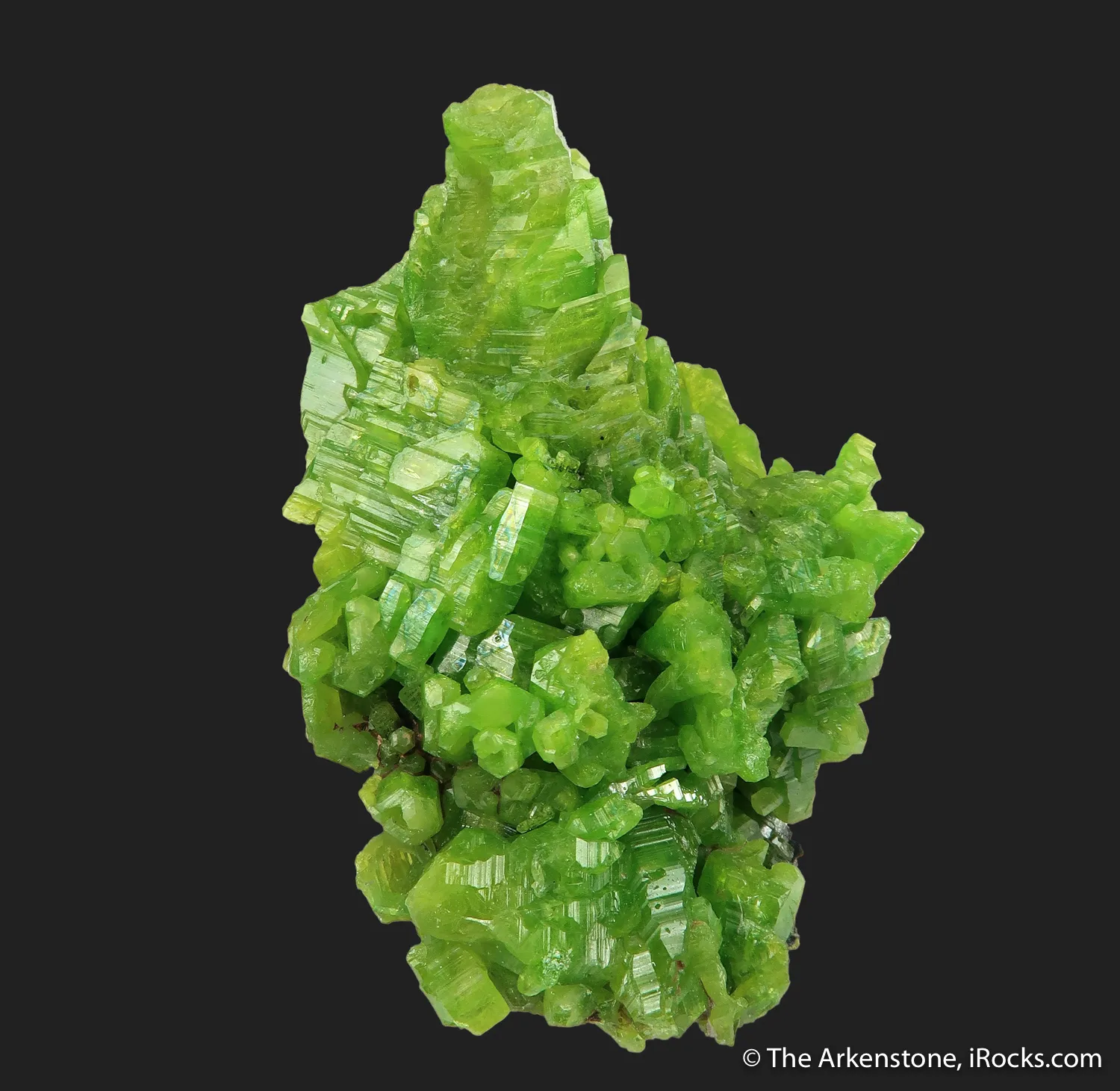 Pyromorphite (large, hoppered crystals) - image 6