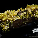 Pyromorphite on Barite - image 2