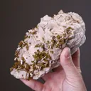 Pyromorphite on Baryte - image 2