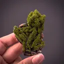 Pyromorphite on Baryte - image 2