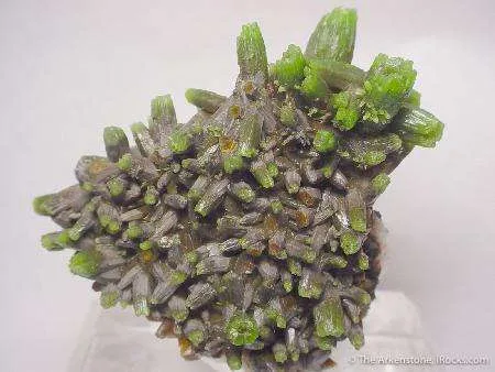 Pyromorphite on Baryte - image 3