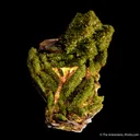 Pyromorphite on Baryte - image 5