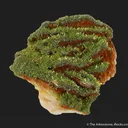 Pyromorphite on Baryte - image 2