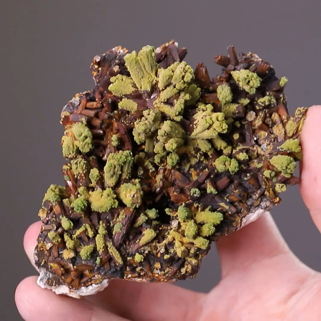 Pyromorphite on Baryte - image 2