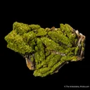 Pyromorphite on Baryte - image 1