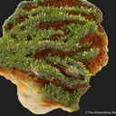 Pyromorphite on Baryte - image 3