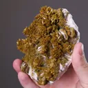 Pyromorphite on Baryte - image 2