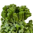 Pyromorphite on Baryte - image 2