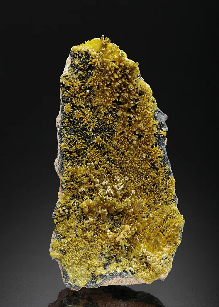 Pyromorphite on Coronadite image