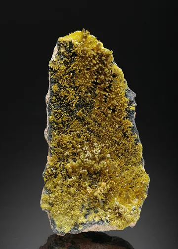 Pyromorphite on Coronadite