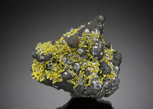 Pyromorphite on Coronadite