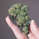 Pyromorphite on Malachite - image 2