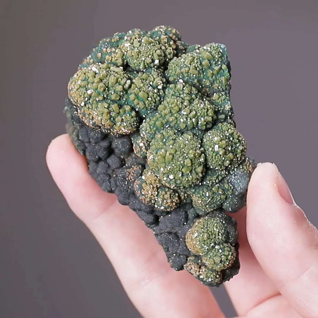 Pyromorphite on Malachite - image 2