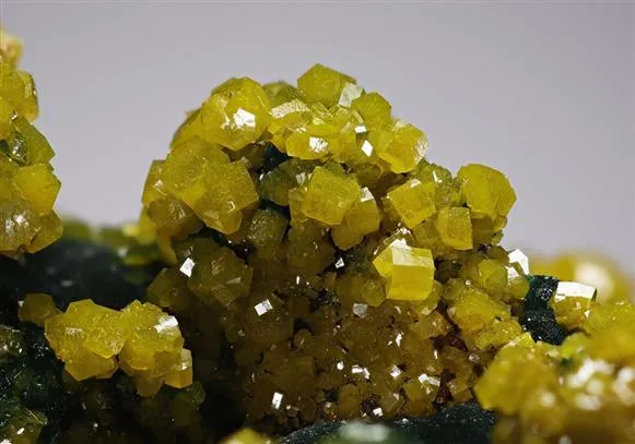 Pyromorphite on Malachite image