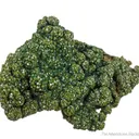 Pyromorphite on Malachite - image 4